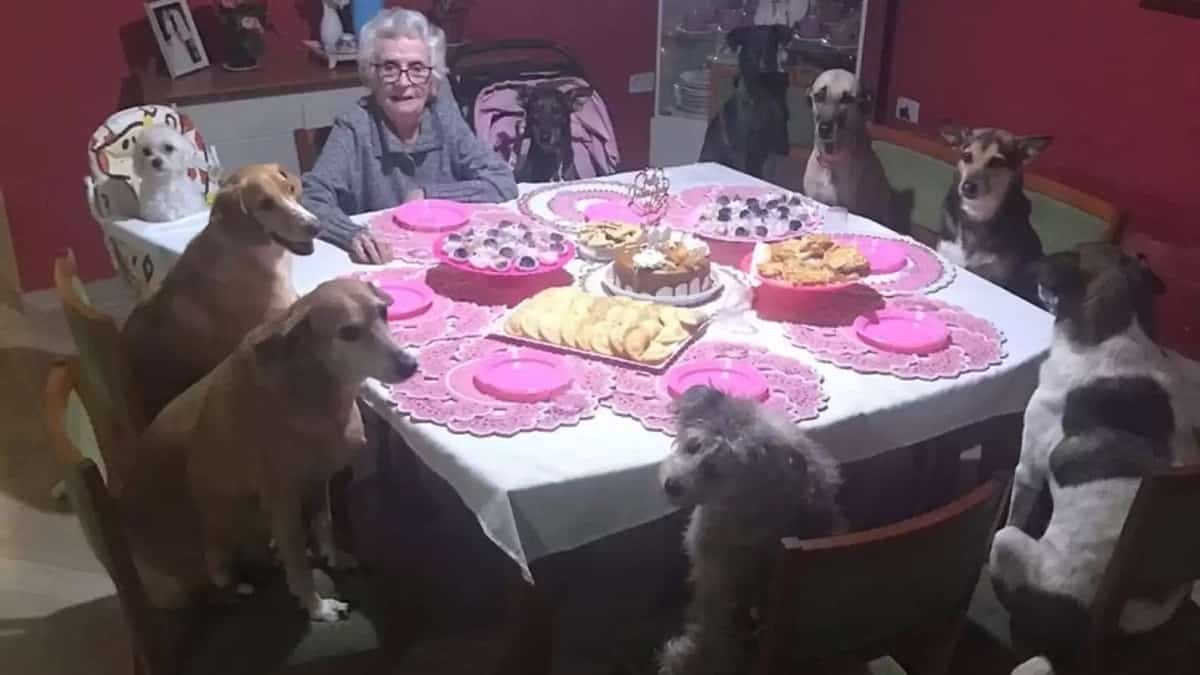 Per l'89° compleanno di María, i suoi 10 cani non potevano mancare – e siedono tutti composti a tavola